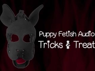 Camp Sissy Boi: The Puppy Fetish Audio Version