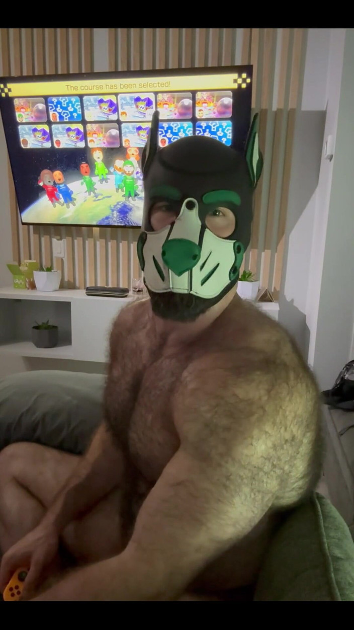 BeefyCanuck: Jen trochu Puppario Kart