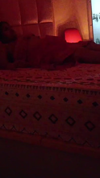 Happy Diwali with Bhabhi Part 7