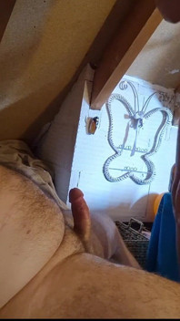 Sextape 18 Min. with Forest Viking