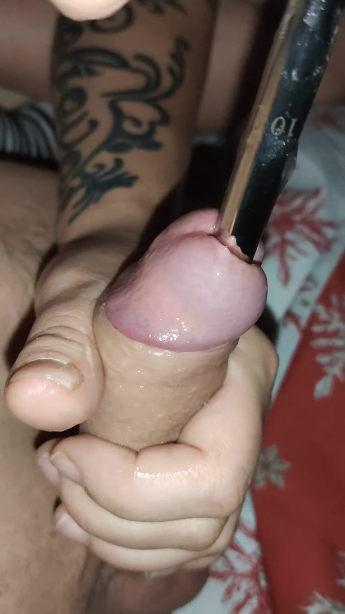 Insertion: 独奏公鸡