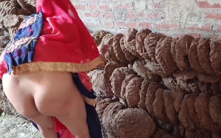 Lalita Singh: Village bhabhi novo pornô bonito casado bhabhi fodendo com meio-irmão