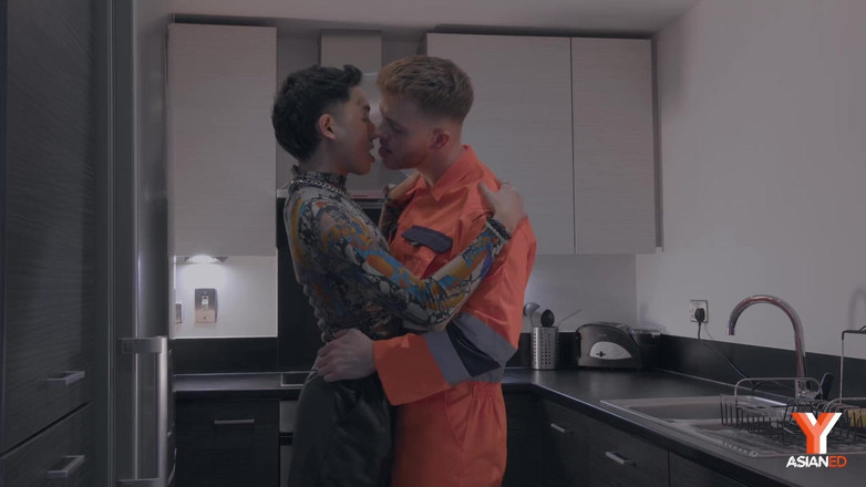 Model Media Cam: Revizie curte / Instalator vine acasă pentru întreținere