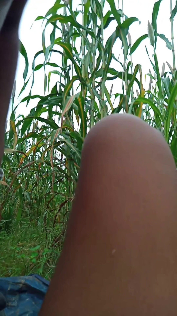 Sonu singh: Il video di sesso di desi village diventa virale