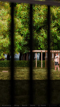 Prison of Sissy - Crime Is Not the Way to Go.