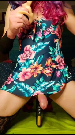 Lizzaali: ครีมพายเสมือนจริงและสอดเครื่องนวด