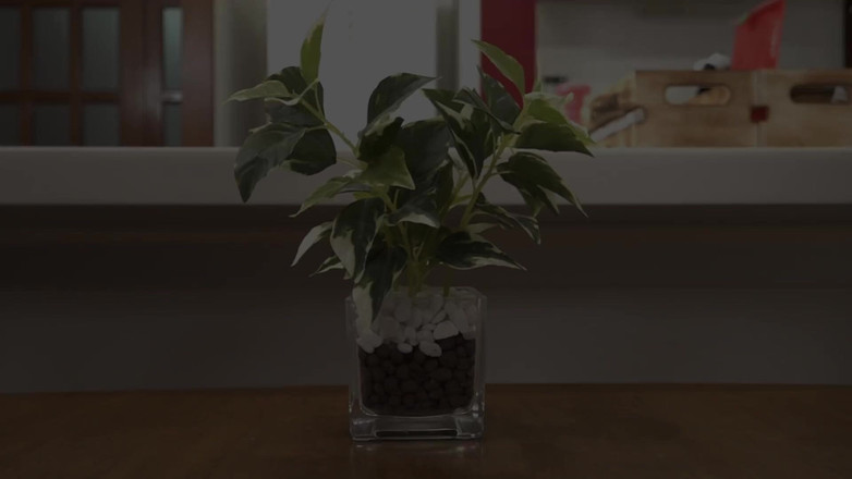 Raptor Inc: Tadokoro Yuri - 一个30岁的妻子被训练成为一个受虐狂出轨的女人