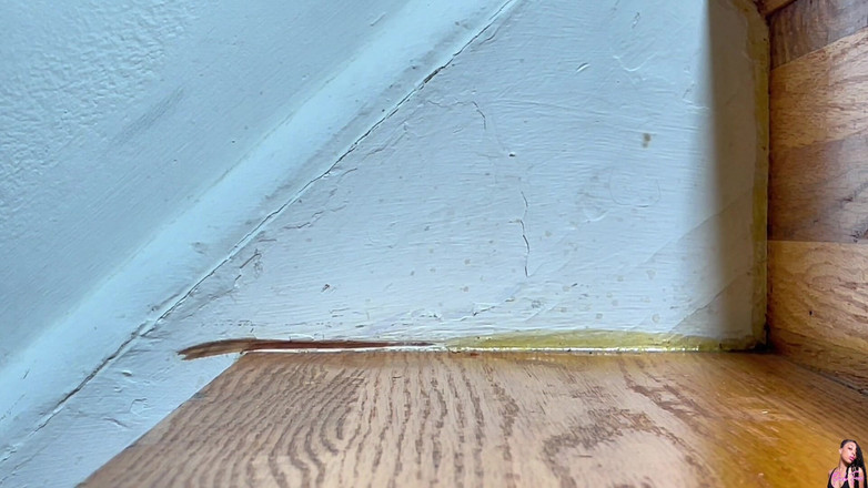 Pink Foxx: Trappen Op En Neer Lopen