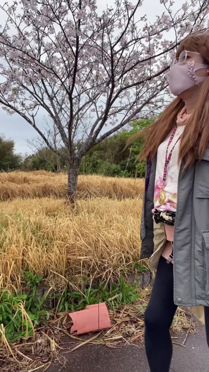 megu2002: No. 166 Tack's Pussy and a Quiet Moment Under the Cherry...