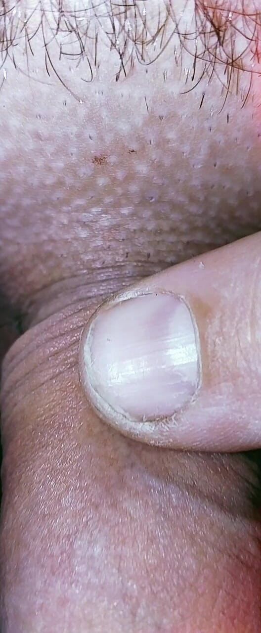 littledickjim: Pieszczoty i ssie małe