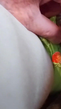 Puffy Pussy 1
