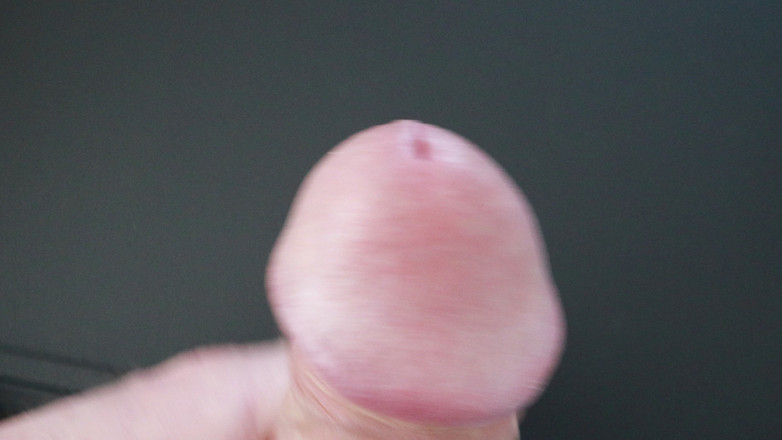 Rocco741: Honění ptáka