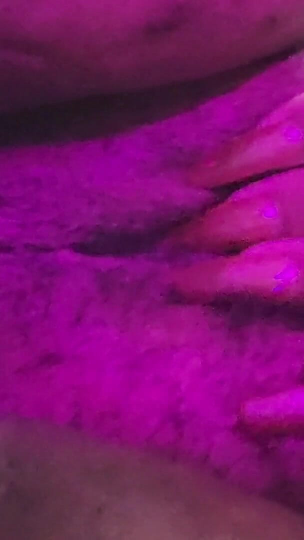 I Know It's Not Taco (Josie4yourpleasure) I Know It's Not Taco (Josie4yourpleasure)