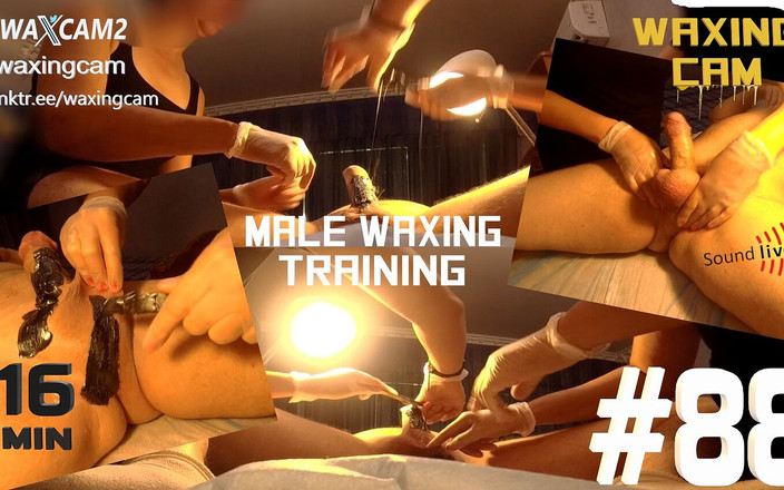 WaxingCam: # 88 entrenamiento de depilación masculina