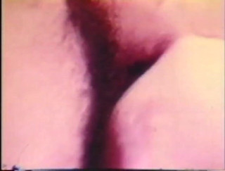 Vintage Usa: Sexo cult do passado vol.1