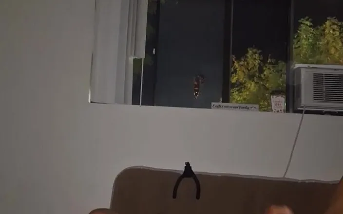 LordDashunKH: Late Night Dildo &amp; Wank Sesh