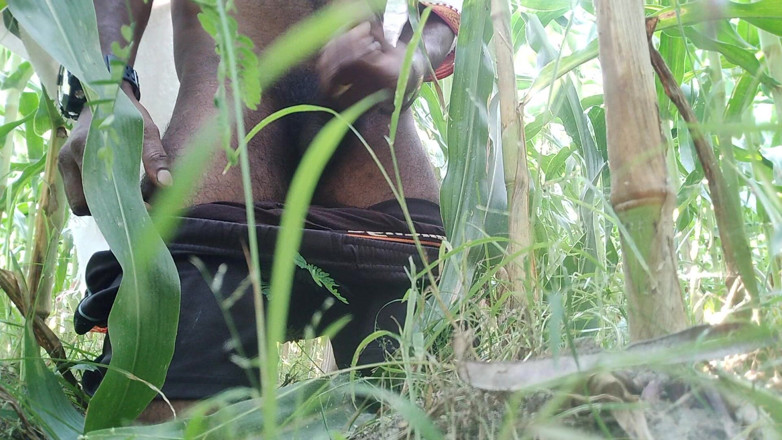 DesiDarkArt: Cowok desa ini pergi ke ladang jagung dan dia habis-habisan