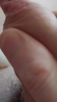 Pancutan mani Ladycock yang lancung