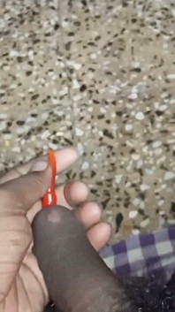 Aku ngentot lubang pantat istriku dan nyepong kontolku
