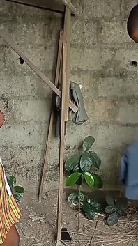 흑형 대물 과 섹스하는 발정난 Anambra 학생 건너뛰기 수업