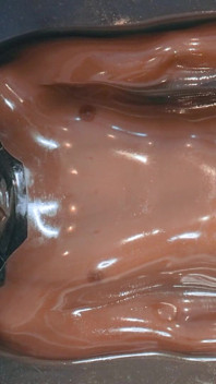 Unit 13 - Vacbed Moanline