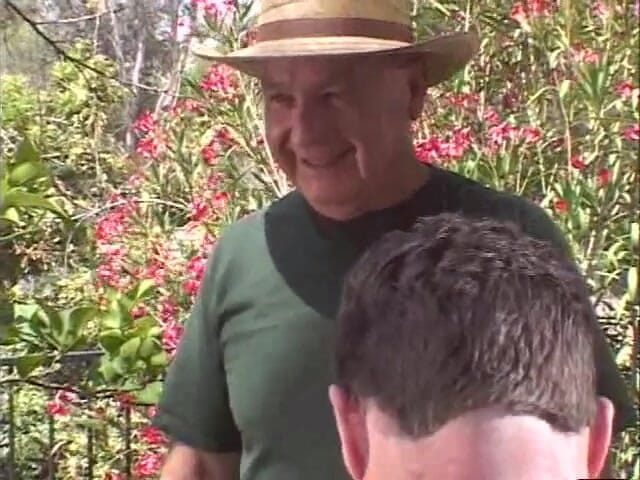 Swing My Wife: Swing my wife: Swing my wife 136