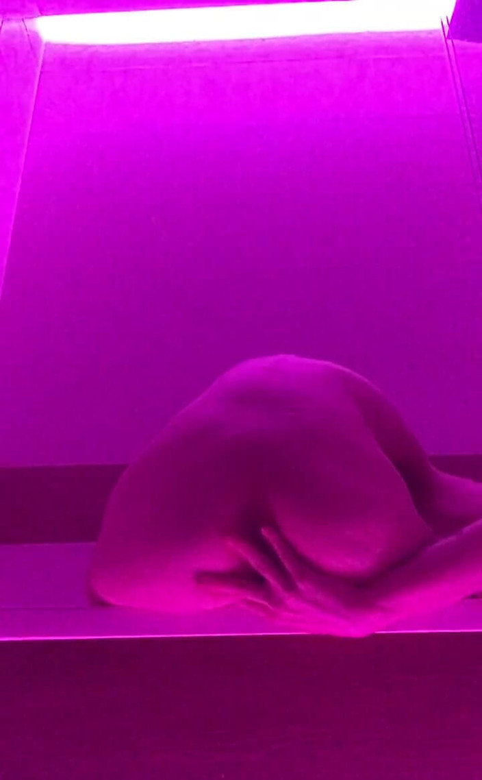 Soft Vulgar: Im Sorry for Dropping It Daddy It Felt to Good,...