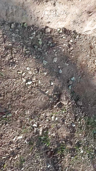 Une fille se fait masser par Sunny Leone