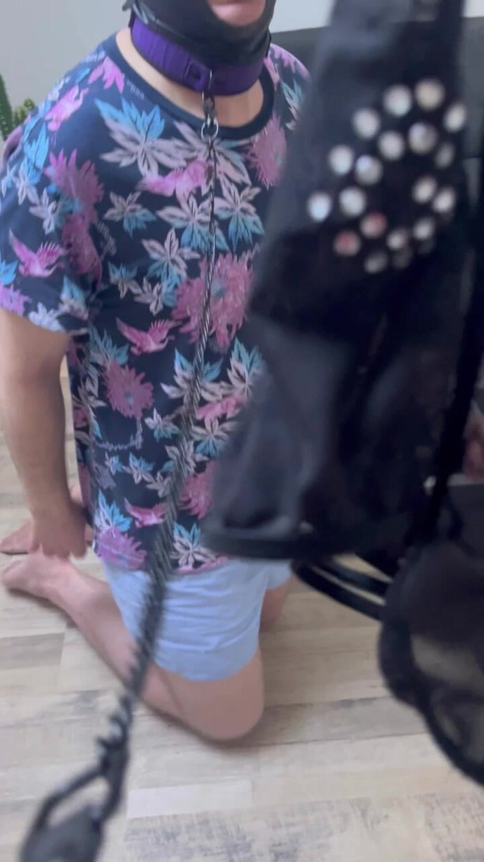 Maitresse Clara: 7일 착용 후에는 냄새가 확실히 나옵니다!