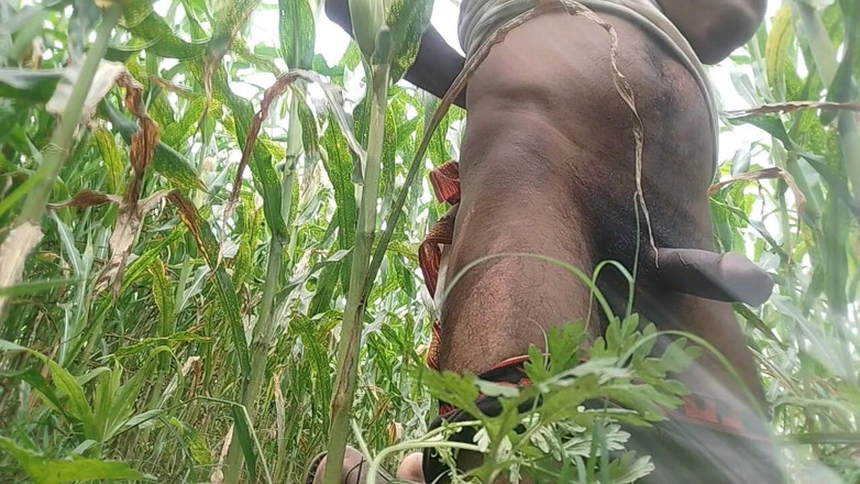Salonibhabhi: Big Black Hawking in the Cornfield