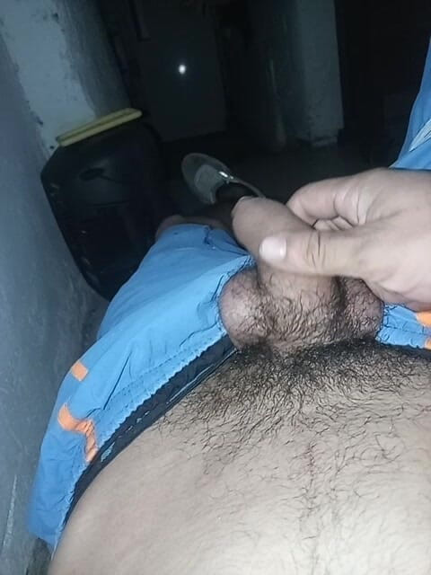 Carass: Verificacion