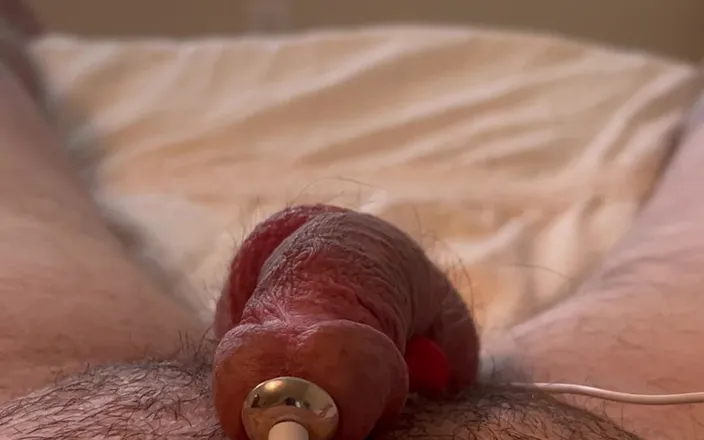 Mrcocksamillion: Prostate Electrojaculation Estim