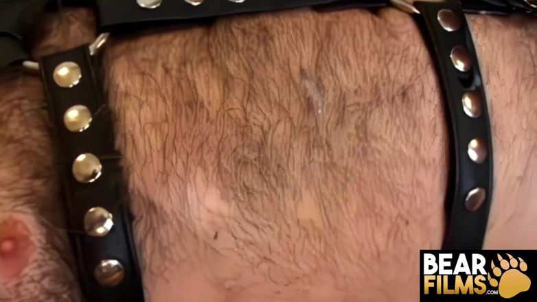 Bear Films: Bearfilms Bear Ted Baer Splits Hairy Ray Stones Asshole From...