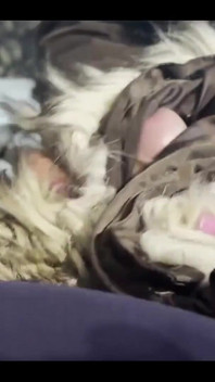 Milfycalla- spousta mrdky na puffer bundě s kapucí s hnědými kožešinami 172