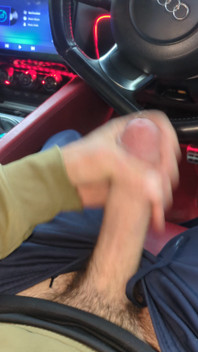 Car Dick Wank