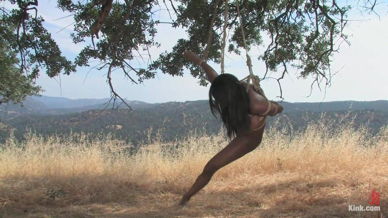 Kink: Sluts Fucked Vol.2