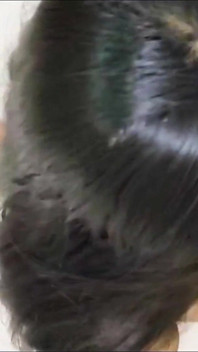 Desi Couple Sex