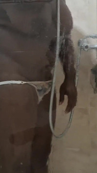 My Ex-girlfriend Is Waiting for Me to Shower so She Can Fuck Me Hard.