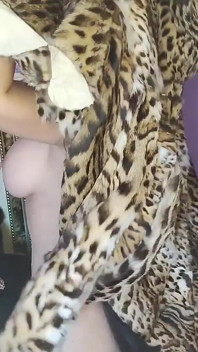 Bất cứ điều gì cho Furs