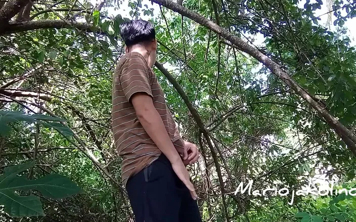 Mariojakolino: Accompany Me to Masturbate in the Jungle, We Will Find...