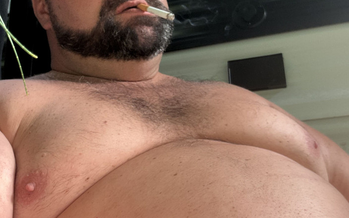 Brewster Bear: Urso goza acampando na floresta