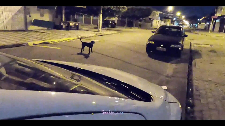 Gabbie Luna: Snídaně v ulici! 18letá děvka mě kouří zdarma uprostřed ulice! Spadl...