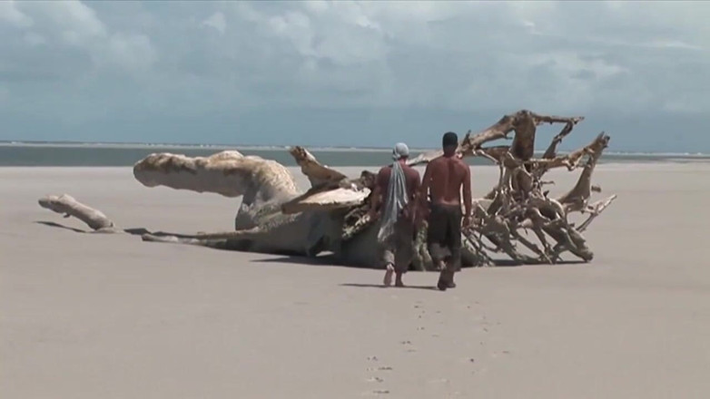 XTime Vod: Babes in Brazil -  (The movie)
