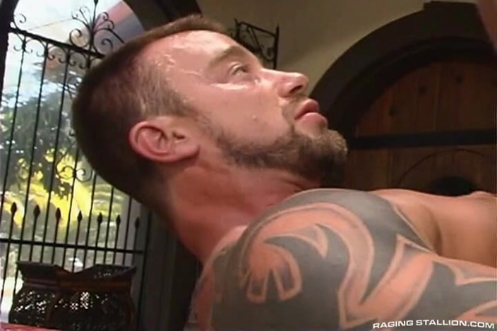 Raging Stallion: Арабески