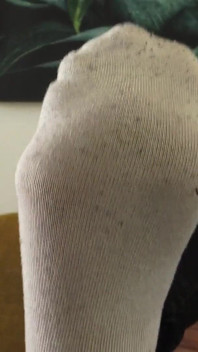 Bau Stinky Socks Saya, Terus Dari Sneakerx, Awak Menghidu Kaki!