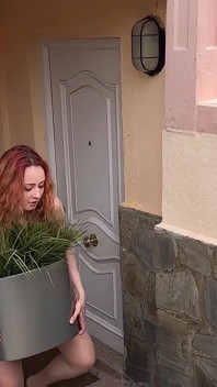Desperate Housewives. Parody on 3rd Episode