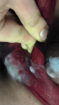 Juicy Cumshot Through Patterned Floral Pantyhose