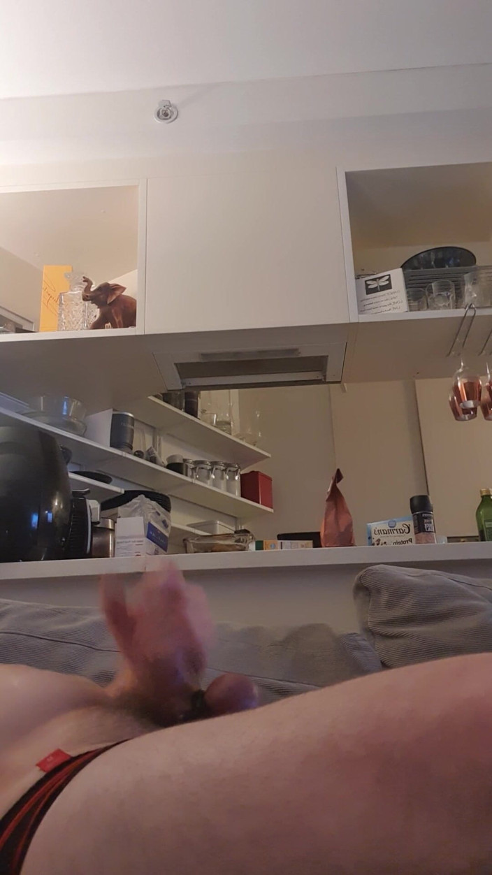 axhyt92: Domácí honění