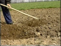 Toket besar tante seksi jadul