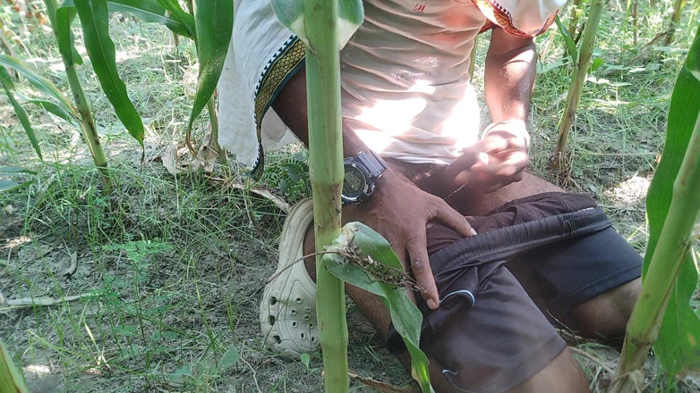 Blackberry World: Transgénero de la jungla india sacude solo